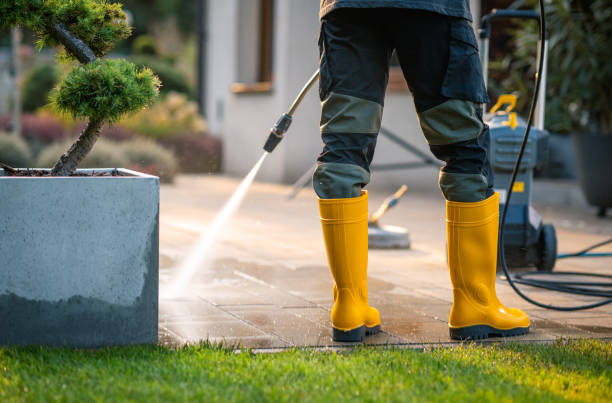 Best Local Pressure Washing Services  in Milton, FL